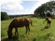 1860 Dunoon Road, Dunoon NSW 2480
