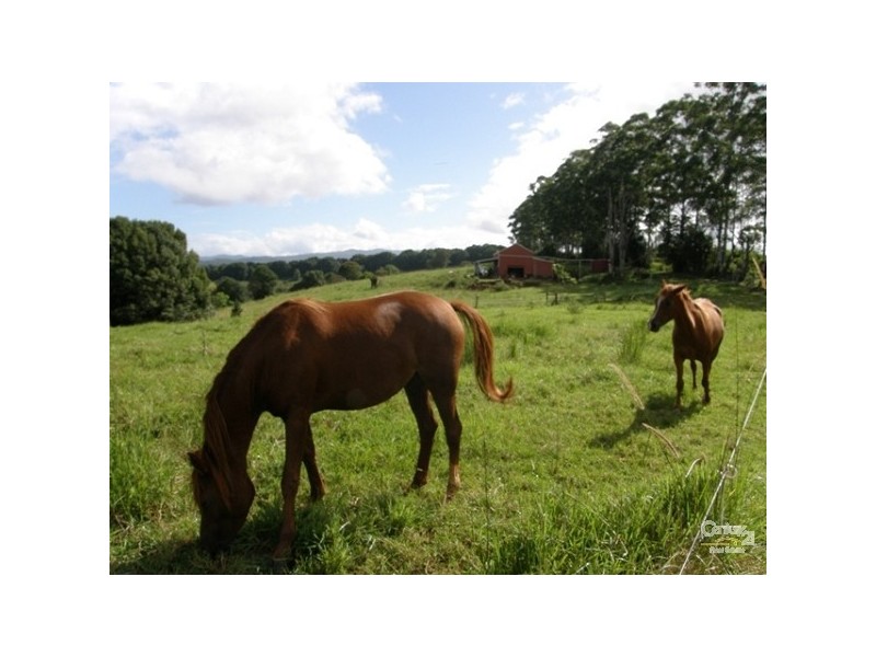 1860 Dunoon Road, Dunoon NSW 2480
