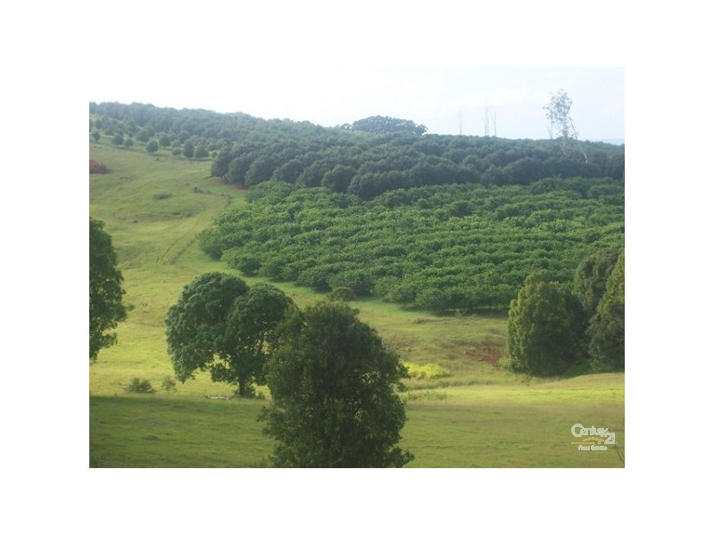 1860 Dunoon Road, Dunoon NSW 2480