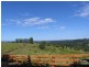 1860 Dunoon Road, Dunoon NSW 2480