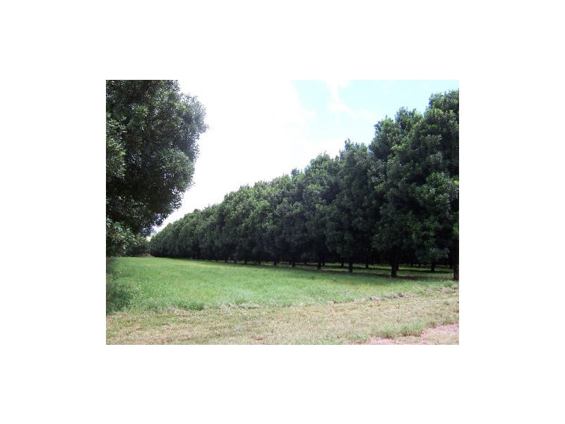 Alstonville NSW 2477