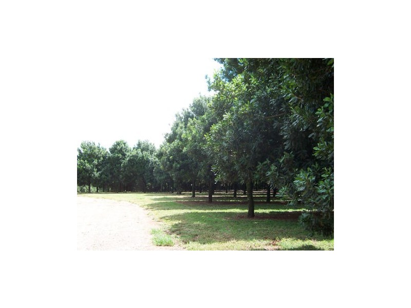 Alstonville NSW 2477