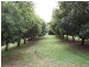 Fernleigh NSW 2479