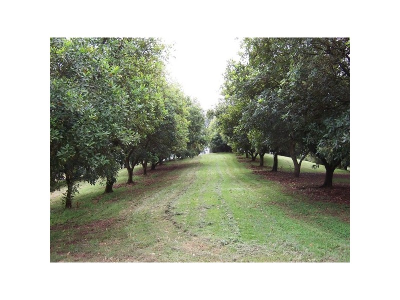 Fernleigh NSW 2479