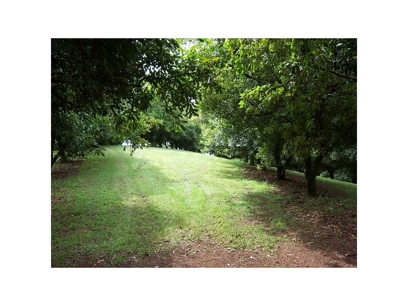 Fernleigh NSW 2479