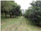 Fernleigh NSW 2479