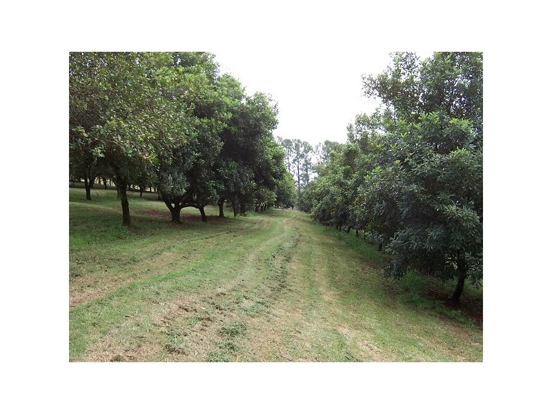 Fernleigh NSW 2479