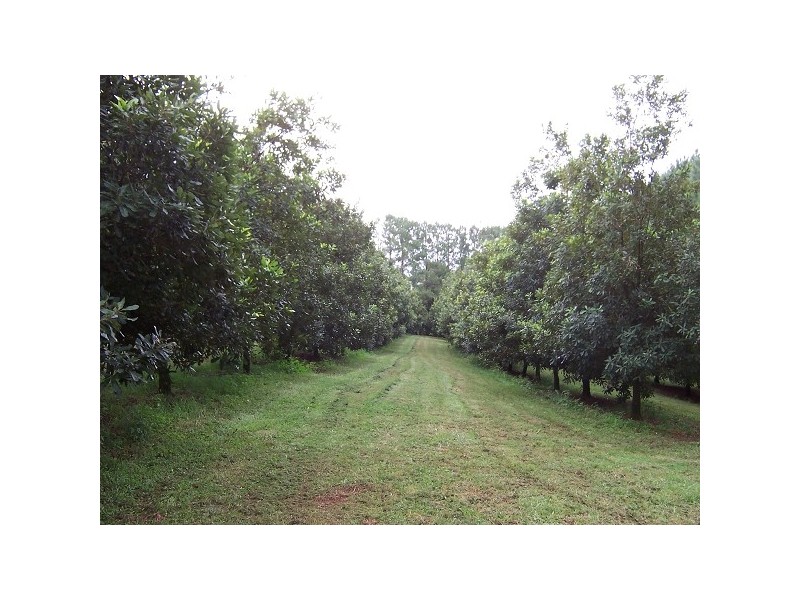 Fernleigh NSW 2479