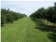 Dunoon NSW 2480
