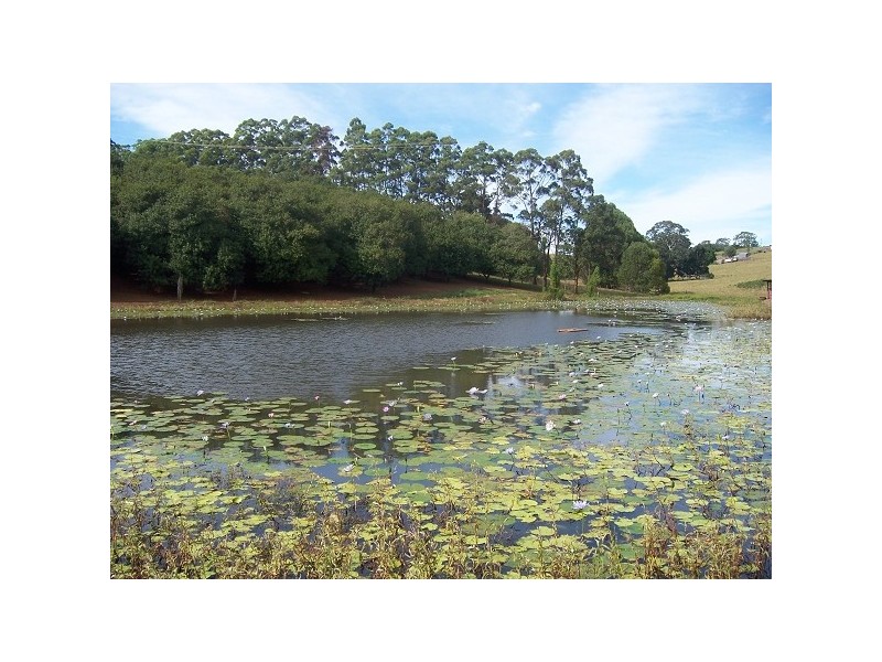 Dunoon NSW 2480