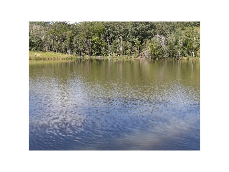 Dunoon NSW 2480