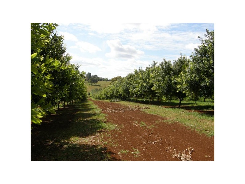 Alstonville NSW 2477