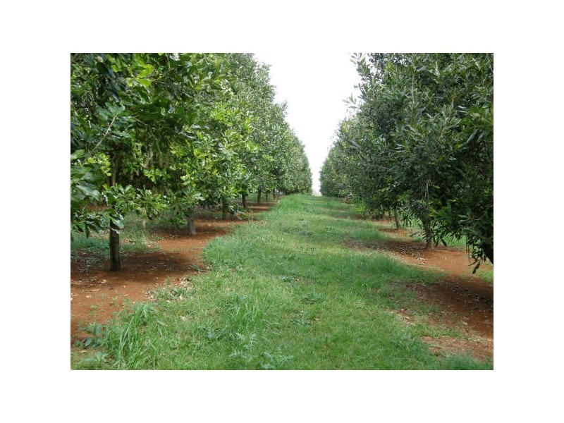 Alstonville NSW 2477