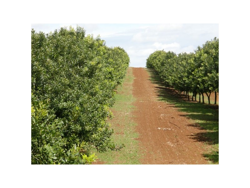 Alstonville NSW 2477