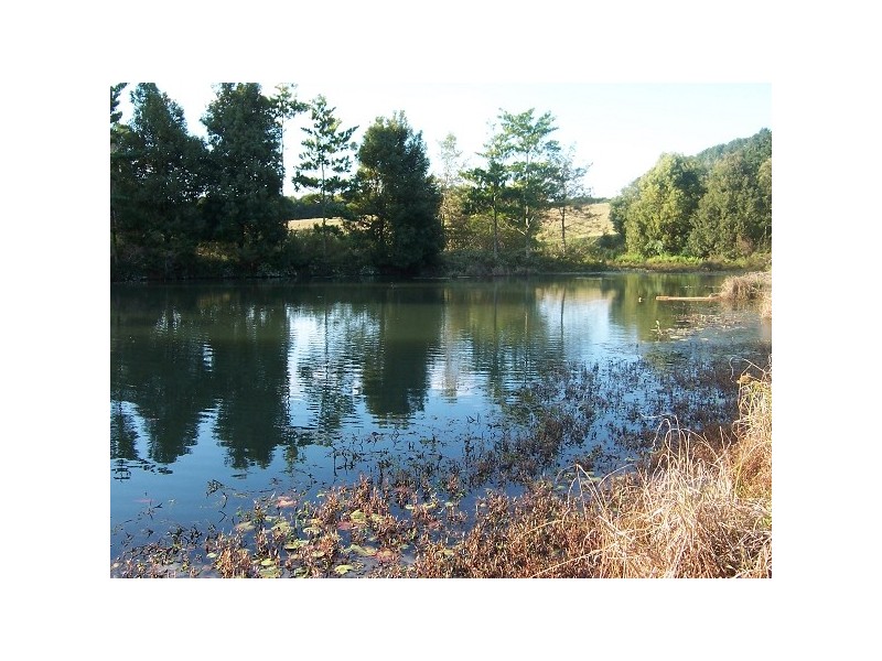 . Nutmac Bangalow Road, Clunes NSW 2480