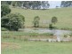 Dunoon NSW 2480