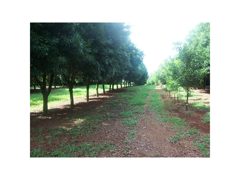 144 Fraser Road, Dunoon NSW 2480