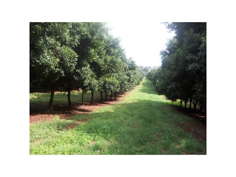 144 Fraser Road, Dunoon NSW 2480