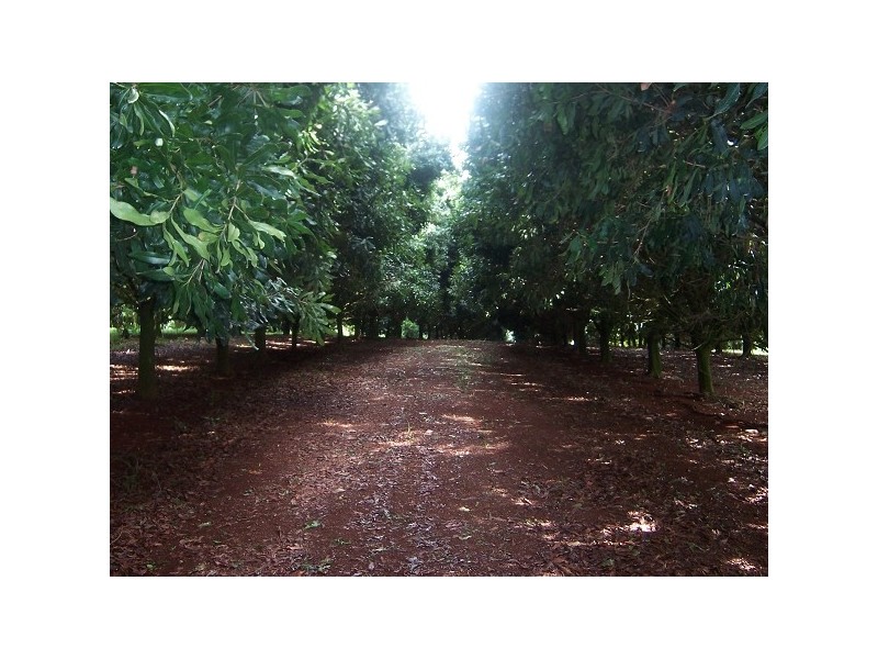 144 Fraser Road, Dunoon NSW 2480