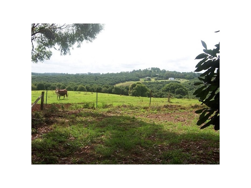 144 Fraser Road, Dunoon NSW 2480