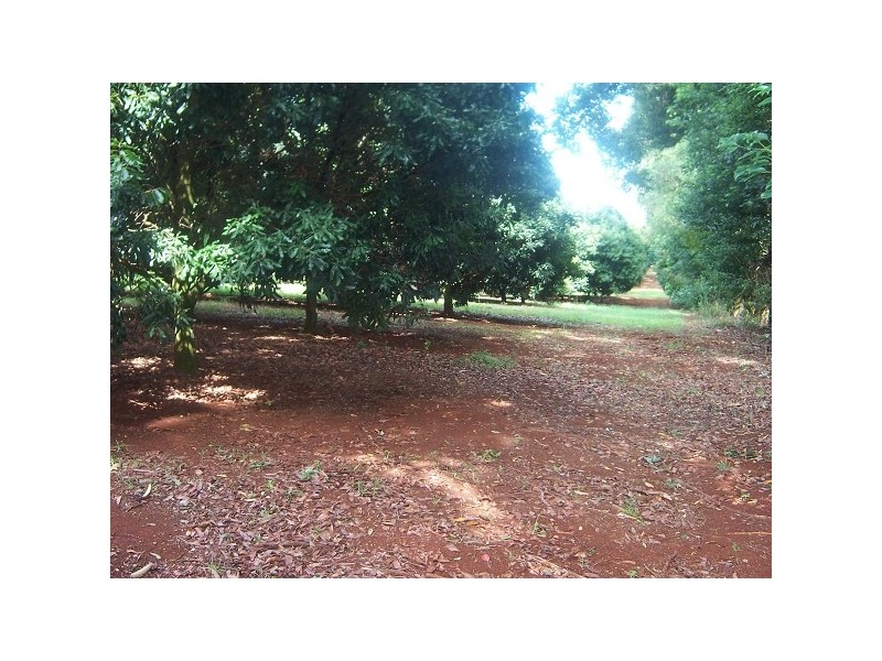 144 Fraser Road, Dunoon NSW 2480