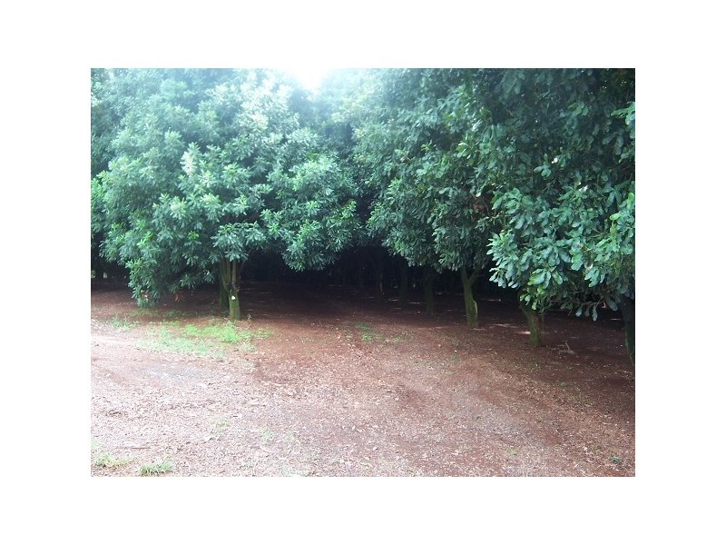 144 Fraser Road, Dunoon NSW 2480