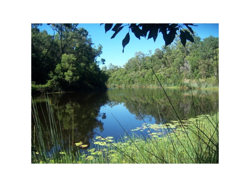 Bungawalbin NSW 2469