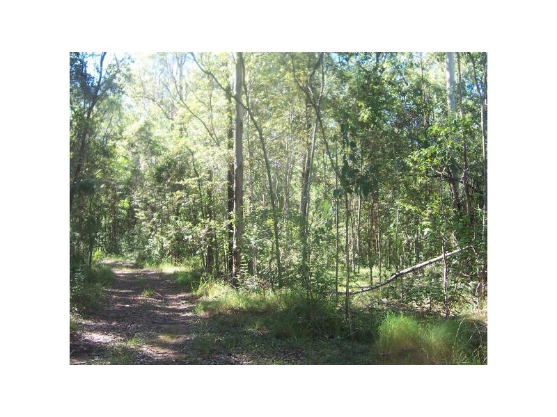 Bungawalbin NSW 2469