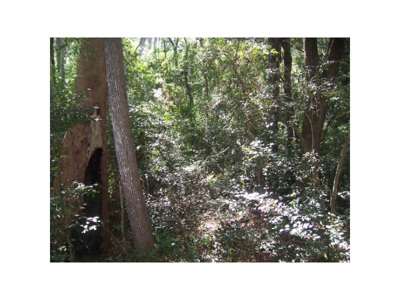 Bungawalbin NSW 2469