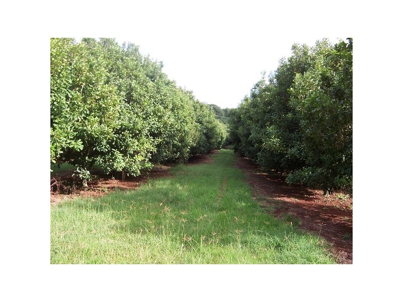 Teven NSW 2478