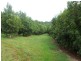 Teven NSW 2478