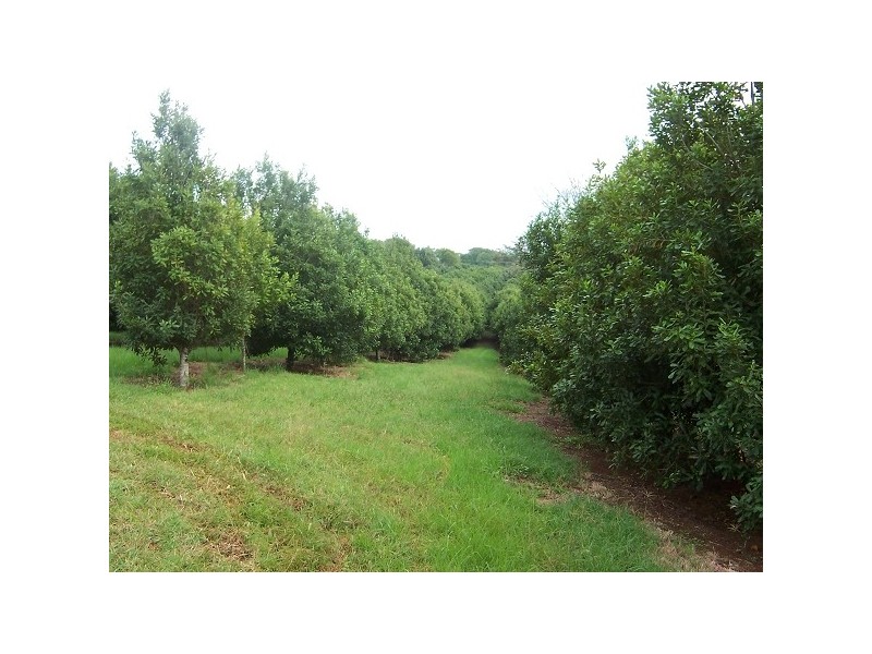 Teven NSW 2478
