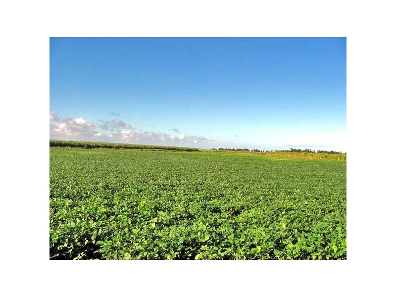 South Ballina NSW 2478