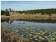 Hogarth Range NSW 2469