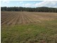 Bora Ridge NSW 2471