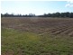 Bora Ridge NSW 2471