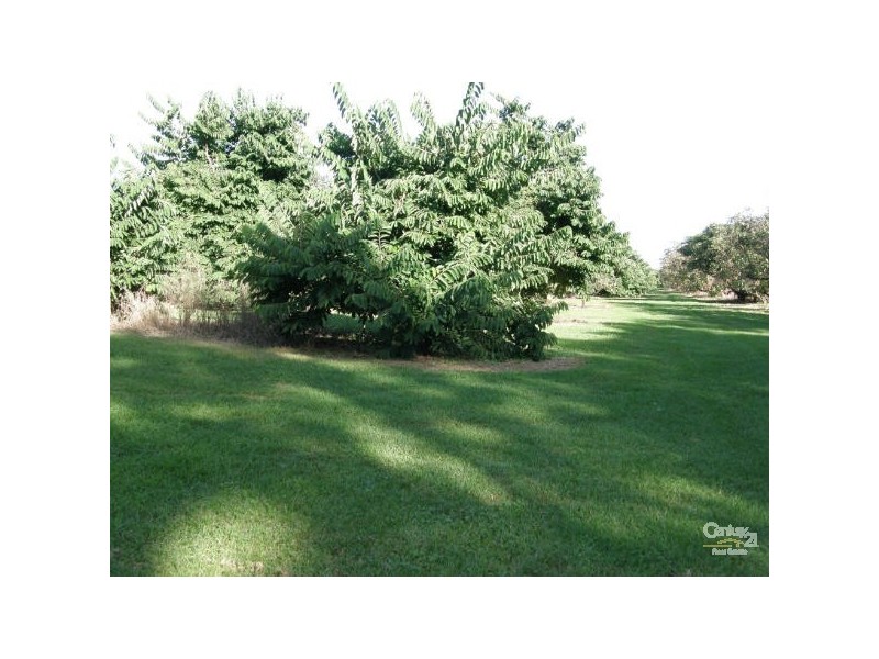 Alstonville NSW 2477