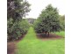Corndale NSW 2480