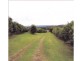 Corndale NSW 2480