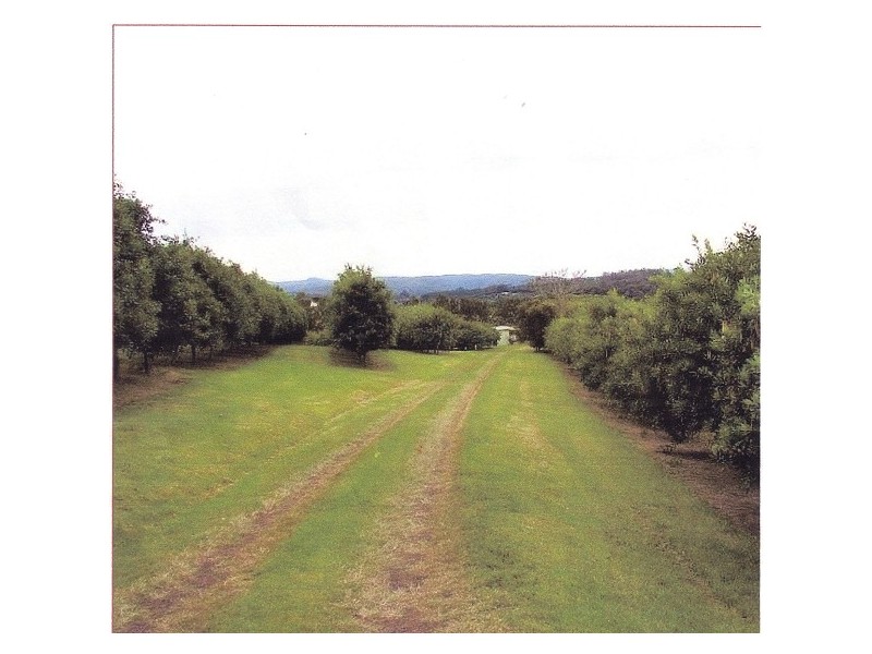 Corndale NSW 2480