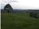 Numulgi NSW 2480