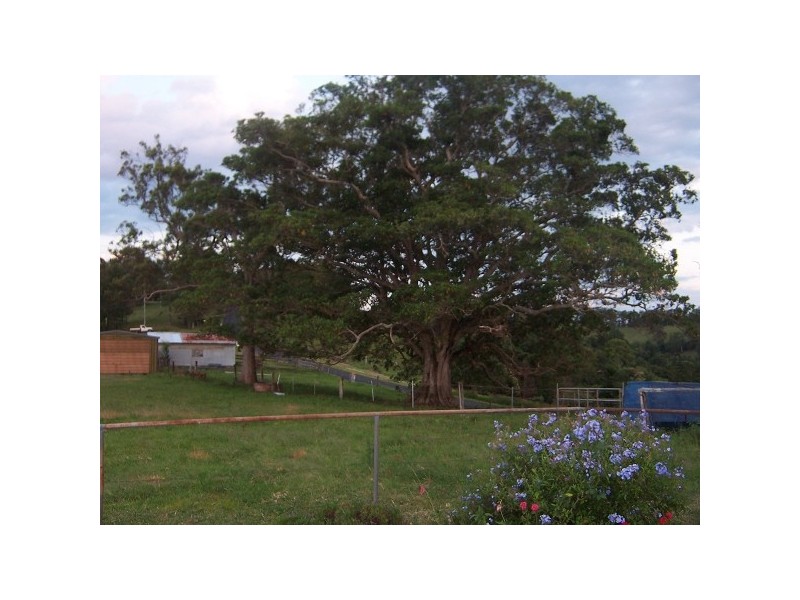 Numulgi NSW 2480