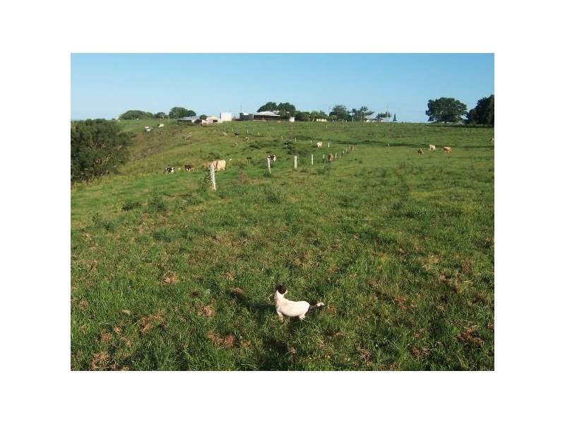 Meerschaum Vale NSW 2477