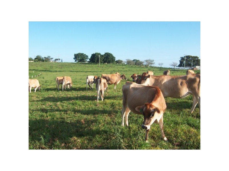 Meerschaum Vale NSW 2477