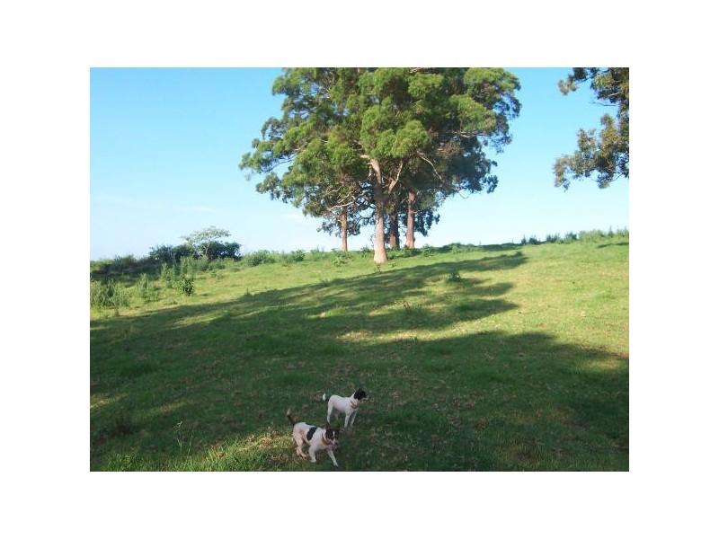 Meerschaum Vale NSW 2477