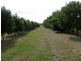 Lismore NSW 2480
