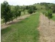 Lismore NSW 2480