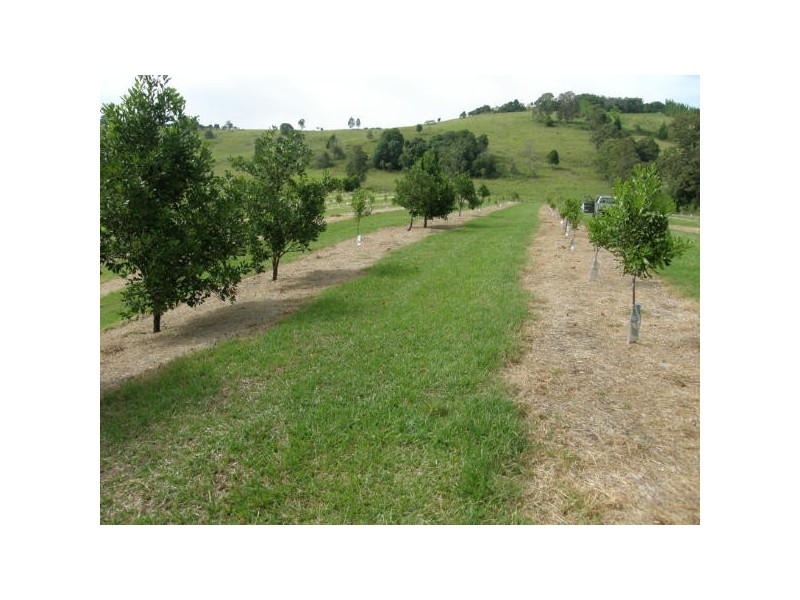 Lismore NSW 2480
