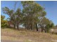 10 Claret Ash Close, Toronto NSW 2283