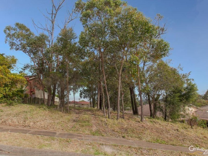 10 Claret Ash Close, Toronto NSW 2283